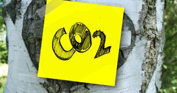 post-it met woor CO2 is geplakt op de bast van een boom