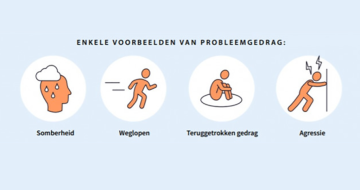 Voorbeelden van probleemgedrag