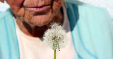 oudere dame met blauw vestje blaast naar paardenbloem